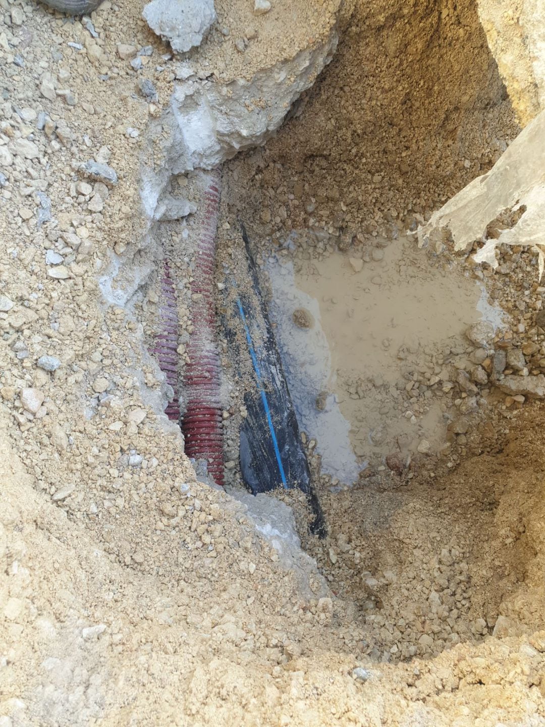 El reventón de una tubería en el Nuevo Pepico Amat ha provocado la falta de riego en el césped