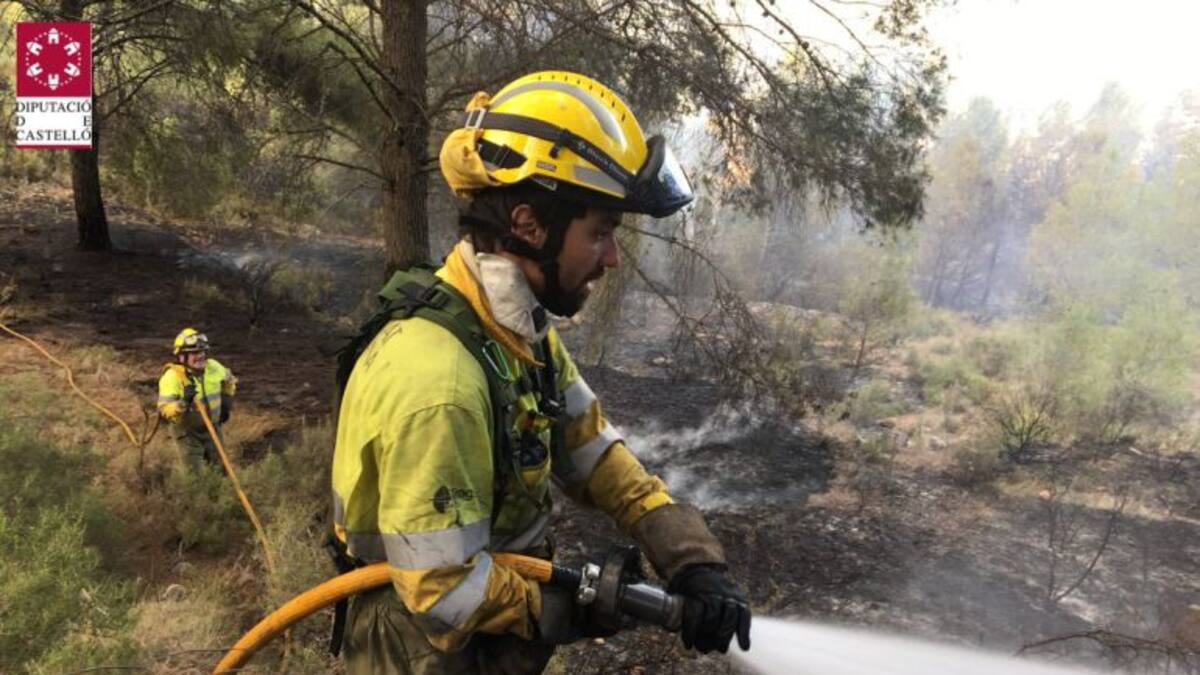 Varios incendios destruyen vegetación de la provincia en una semana de viento