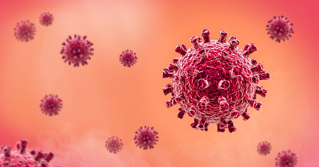 En la última jornada no se ha registrado ninguna muerte por coronavirus