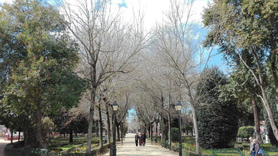 Jardines del Prado