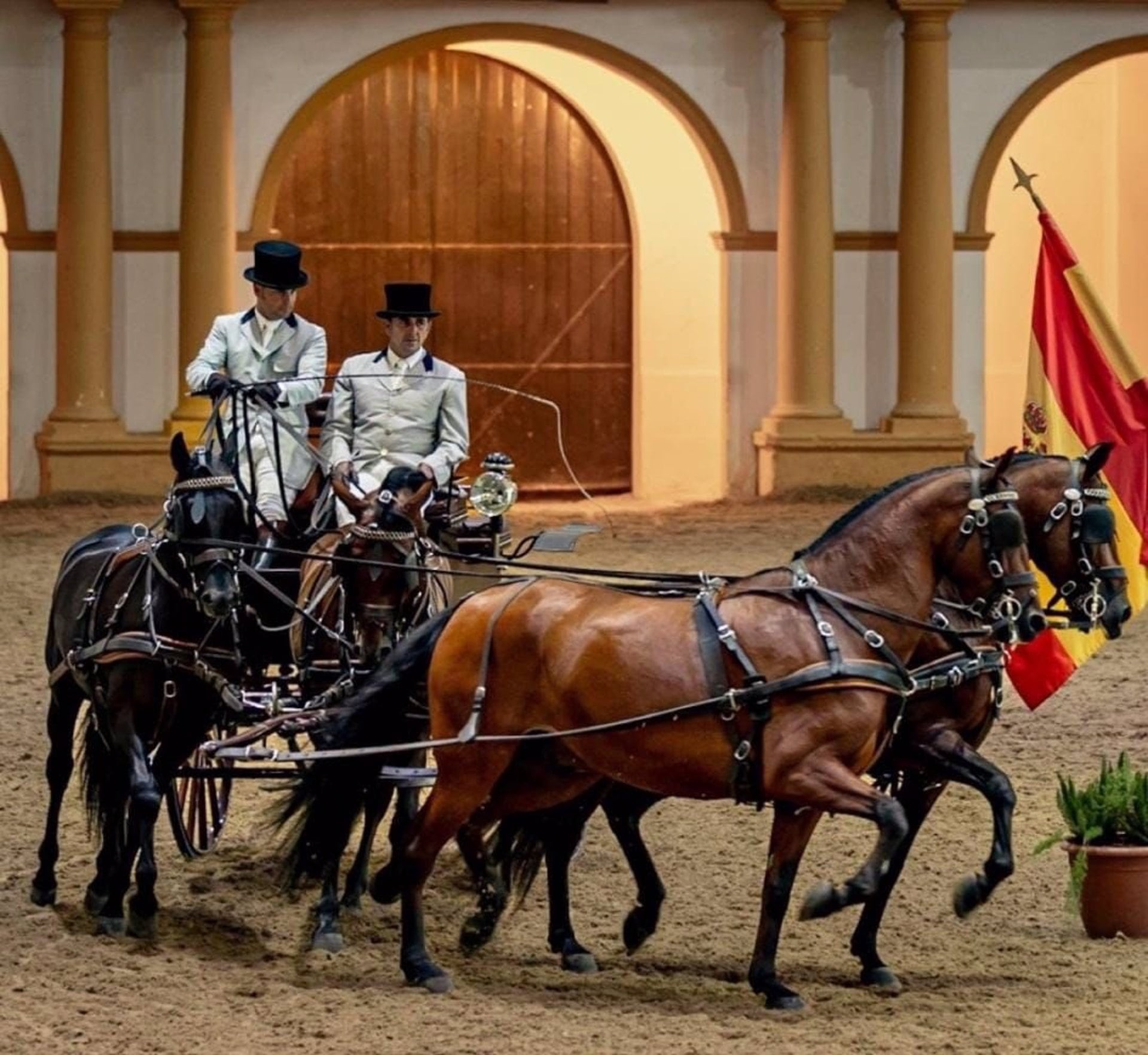 Espectáculo &quot;Como bailan los caballos andaluces&quot; en la Real Escuela de Jerez