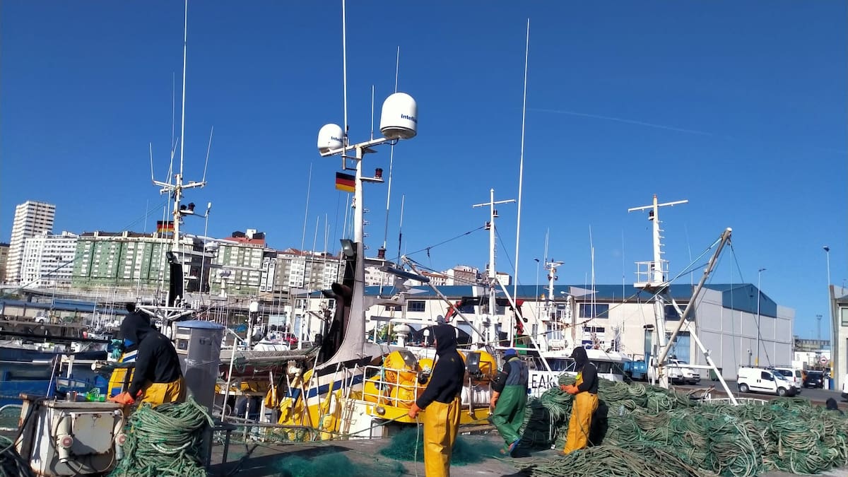 El Puzzle: La pesca de fondo (22/09/2022)