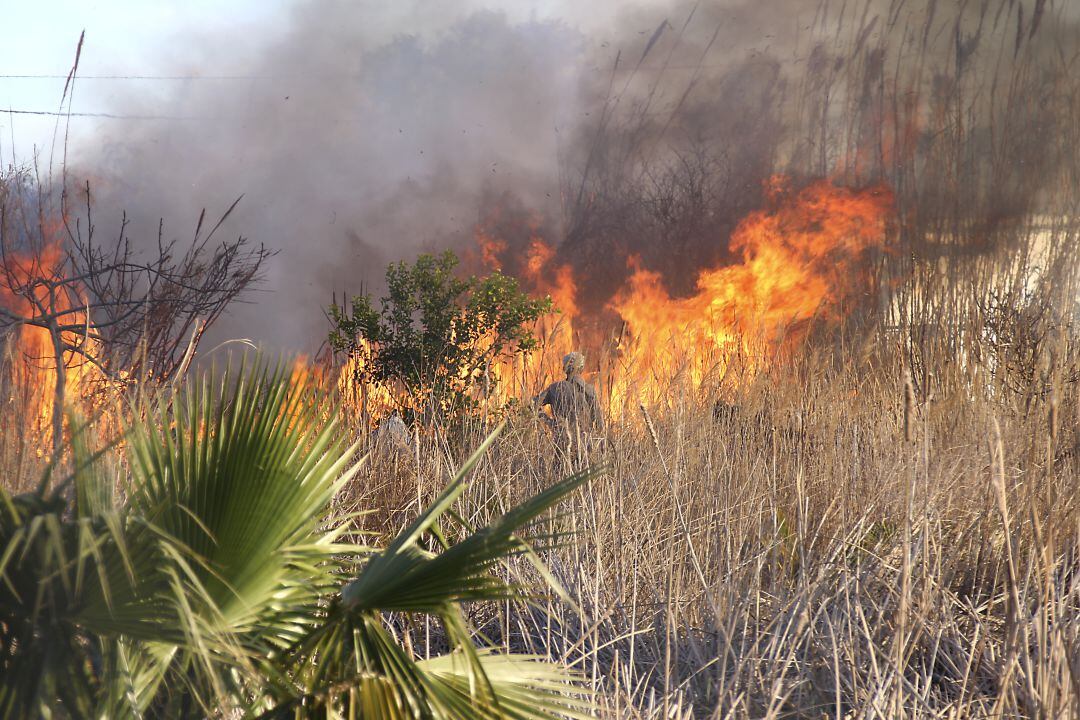Incendio matorrales en Castelló