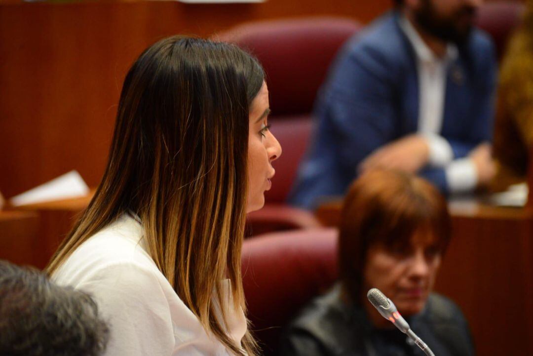 La procuradora leonesa Nuria Rubio durante su intervención en las Cortes