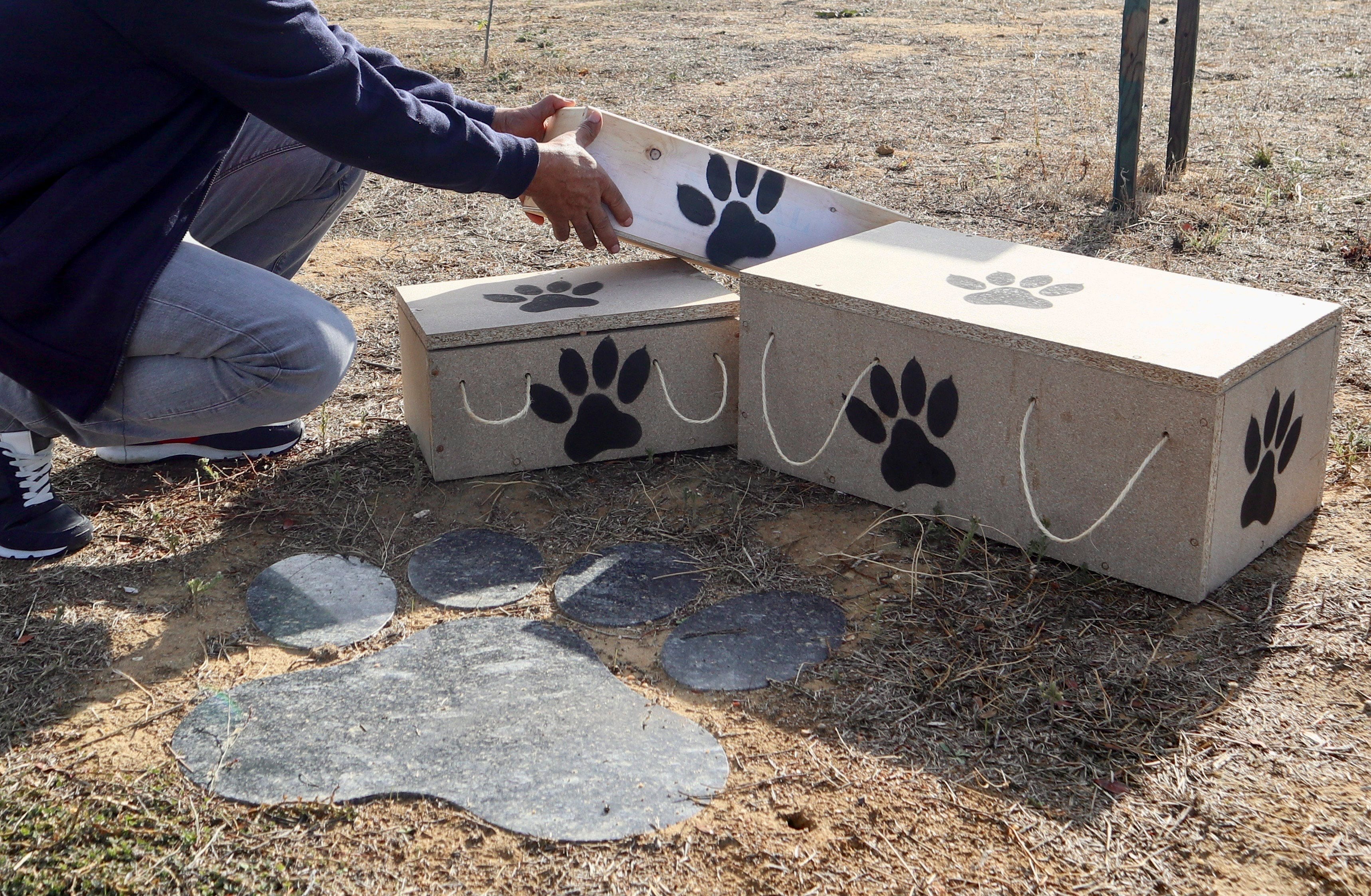 MORALES DEL VINO (ZAMORA), 31/10/2025.- En España no resulta frecuente encontrar un cementerio de mascotas, pero los que hay algunos dueños &quot;lo visitan más que los de personas&quot;, según asegura a EFE Fernando Calvo, el propietario de una de las últimas instalaciones de este tipo puestas en marcha, llamada &#039;Huellas&#039; y ubicada en el término municipal de Morales del Vino, en el alfoz de Zamora, que detalla cómo es y cuánto cuesta un camposanto para animales de compañía. EFE/Mariam A. Montesinos
