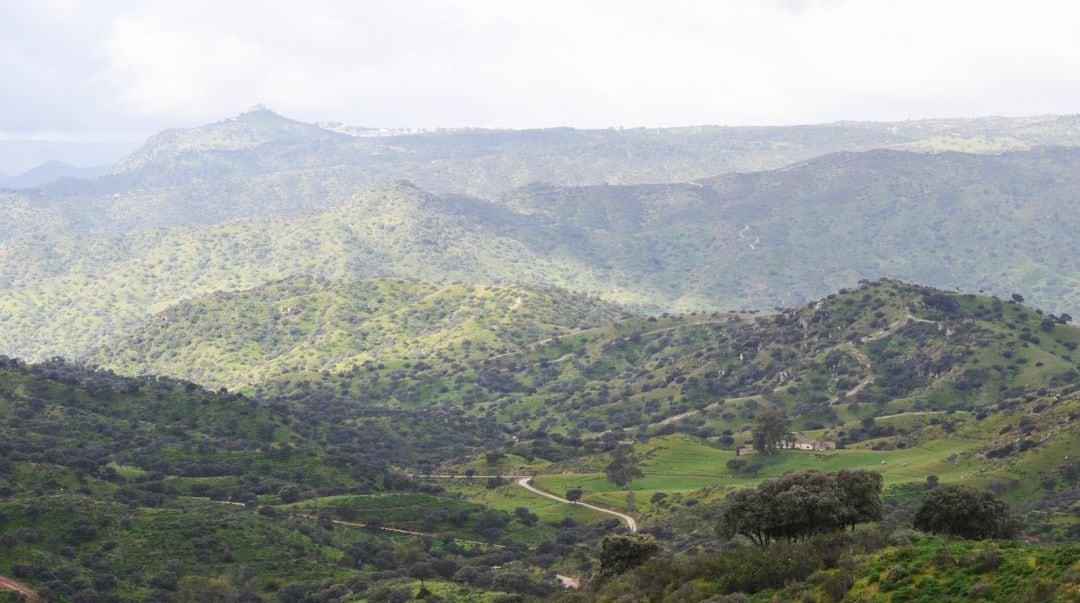 Sierra de Andújar.