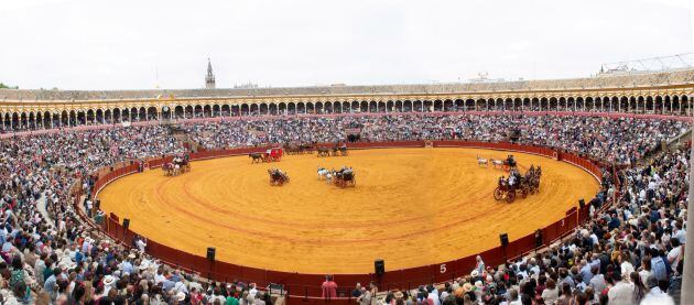 Imagen de la Exhibición de Enganches celebrada en 2019