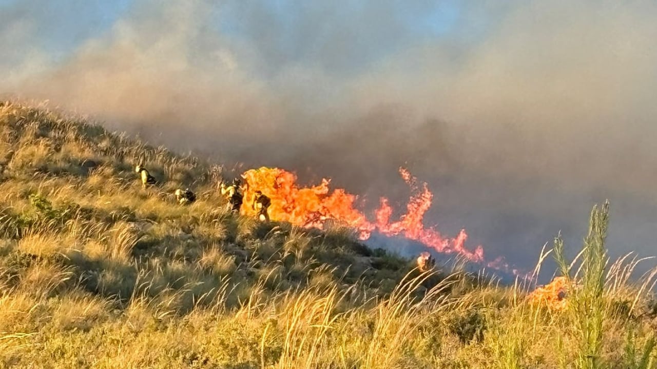 Bomberos del INFOCA intentan sofocar las llamas en el incendio forestal declarado en Lanjarón este 18 de junio de 2024