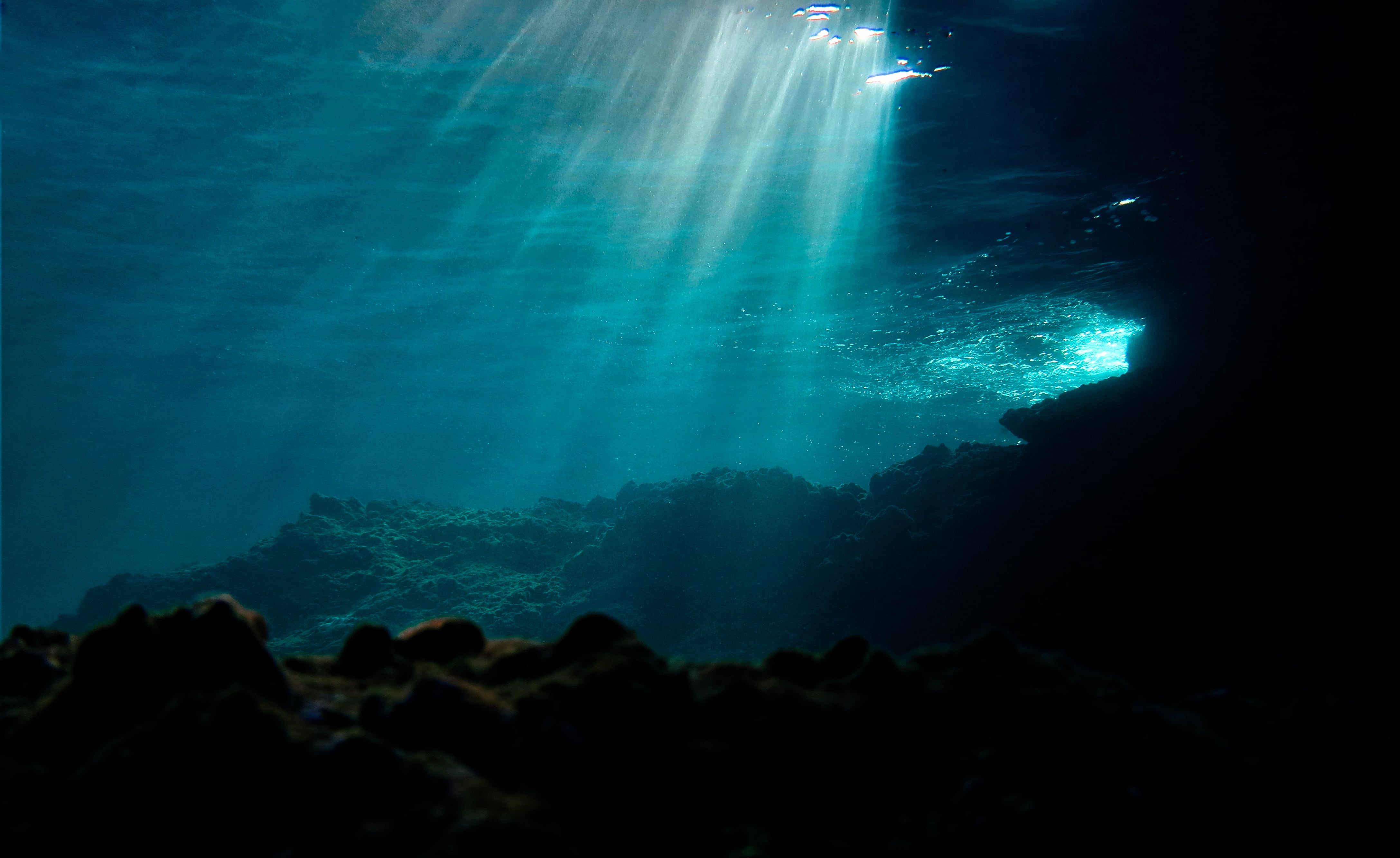 Imagen de archivo de un fondo marino