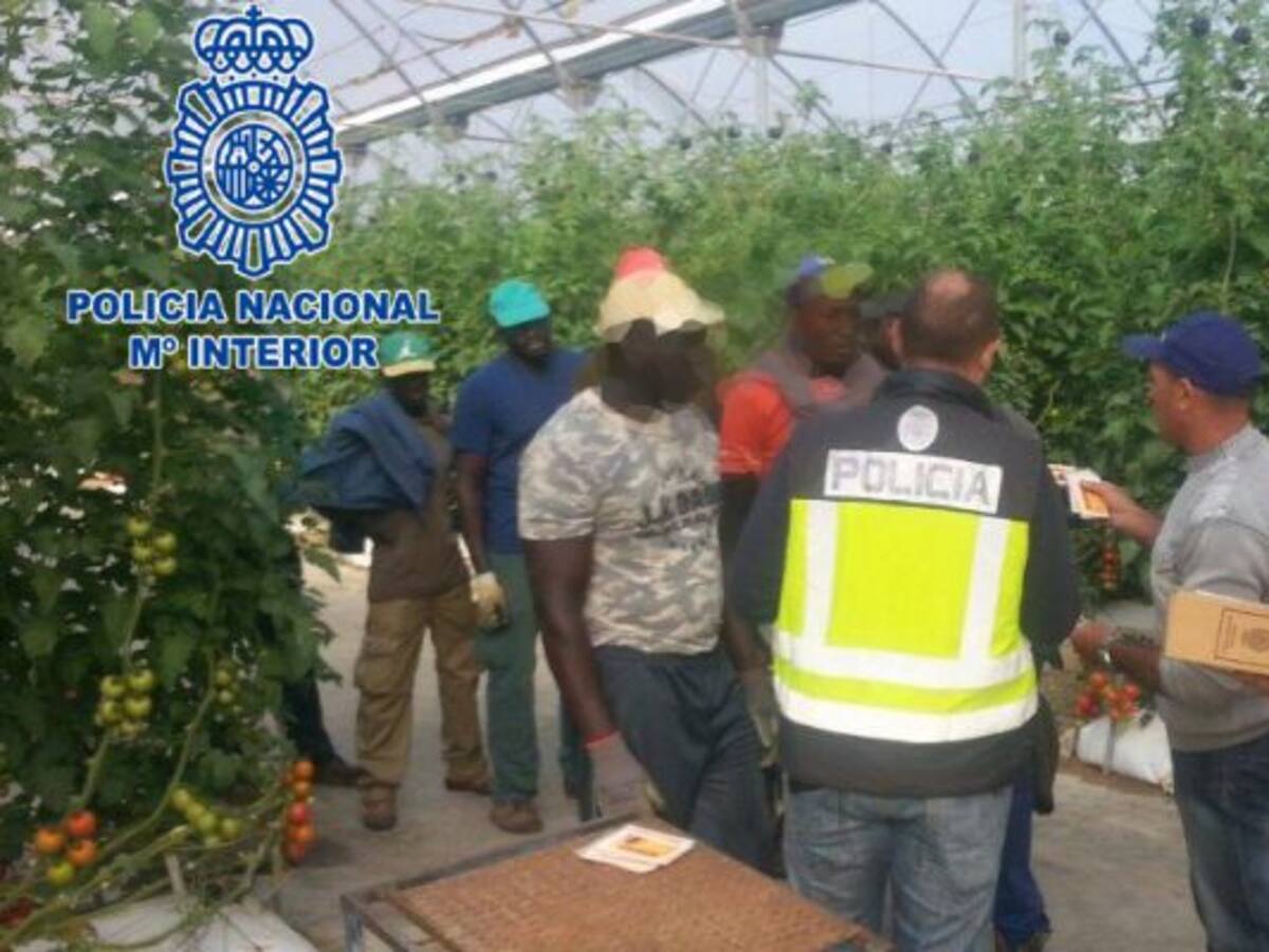 Detenido un empresario agrícola lorquino tras la inspección de su negocio