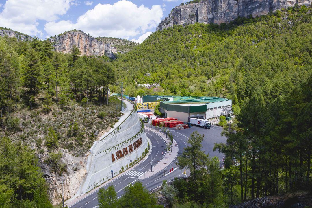 Planta de Solán de Cabras en la Serranía de Cuenca