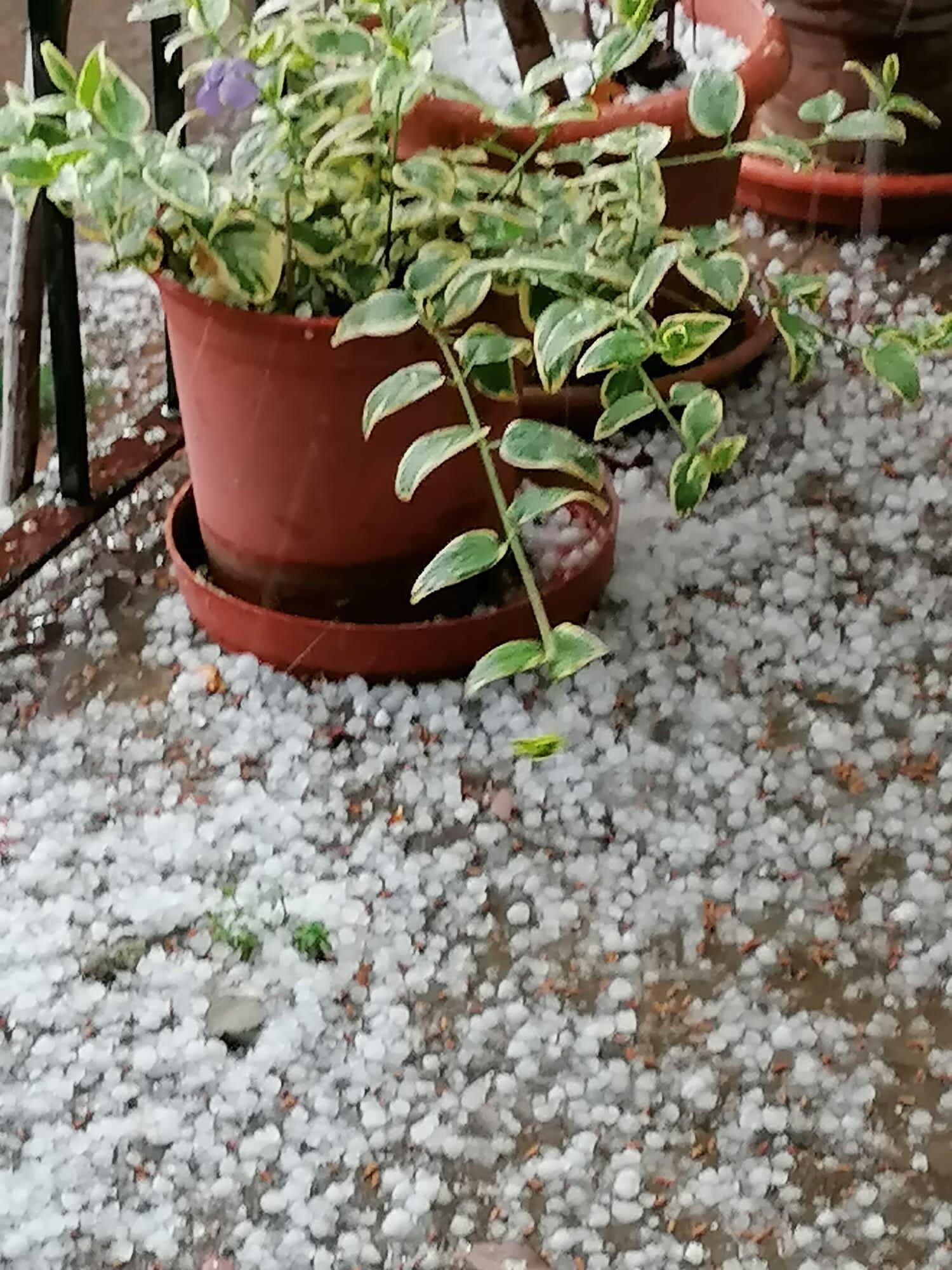 Granizada en Almudévar
