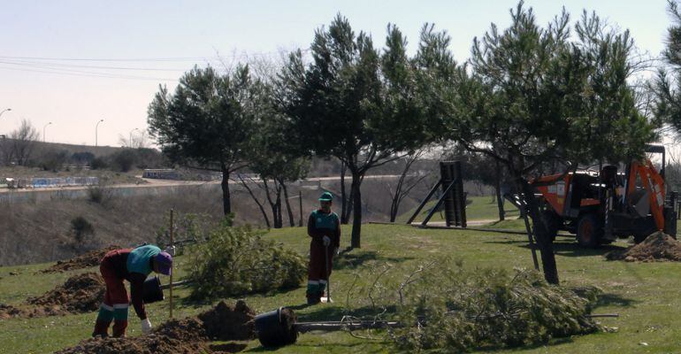 Jardineros en San Sebastián de los Reyes