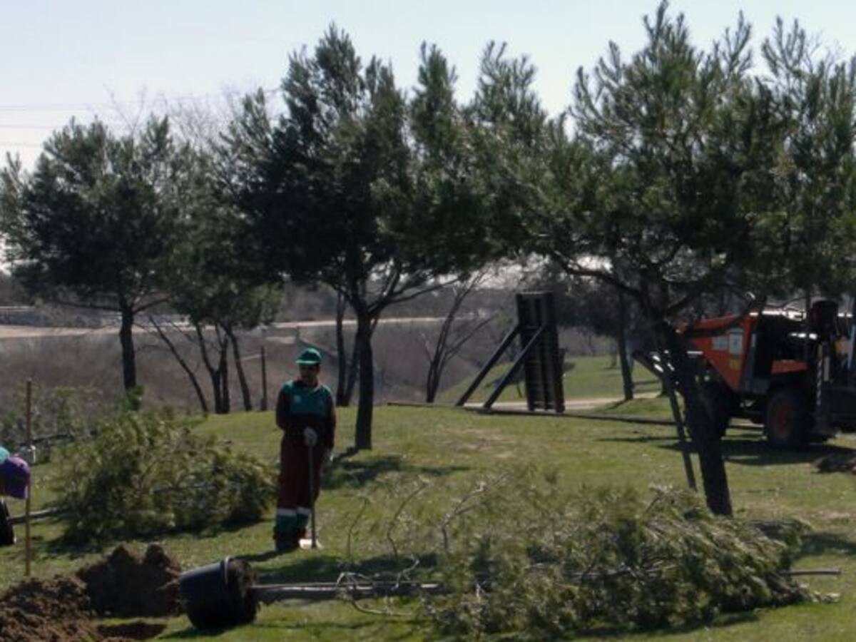 Se refuerza el mantenimiento de parques y jardines