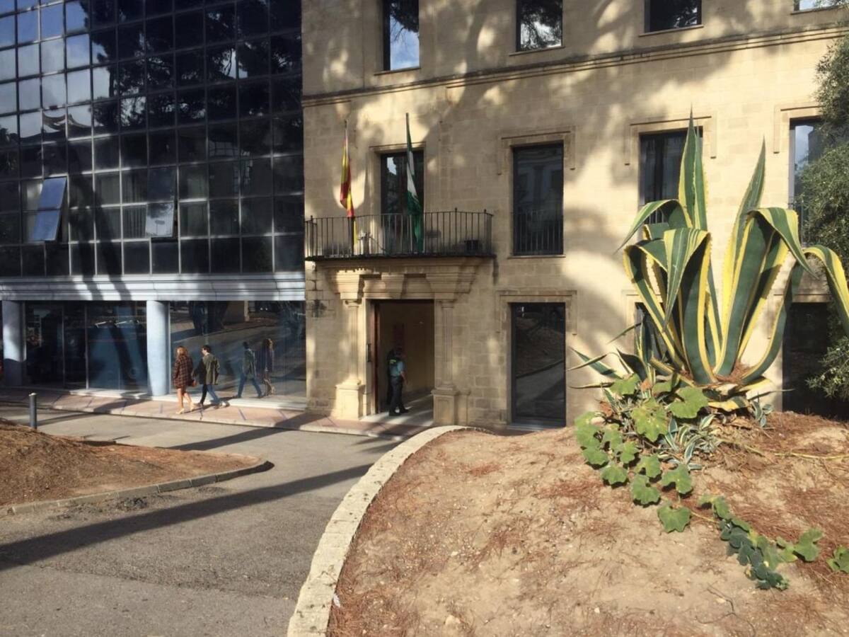 TSJA confirma la pena de nueve años de cárcel para un joven por agresión sexual a una menor en Jerez