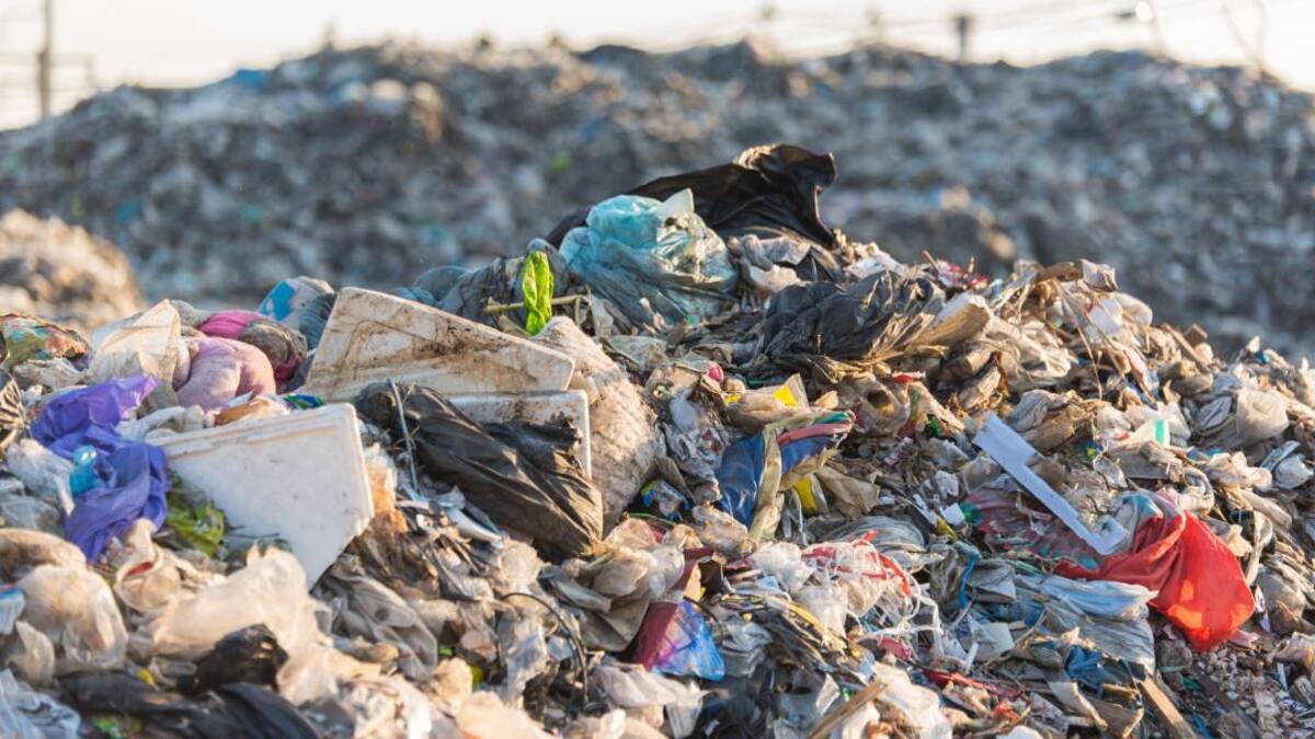 La Columna de Carlos Arcaya: «Brugal: entre unos y otros convirtieron la Vega Baja en un gran lodazal» | 11/06/2020