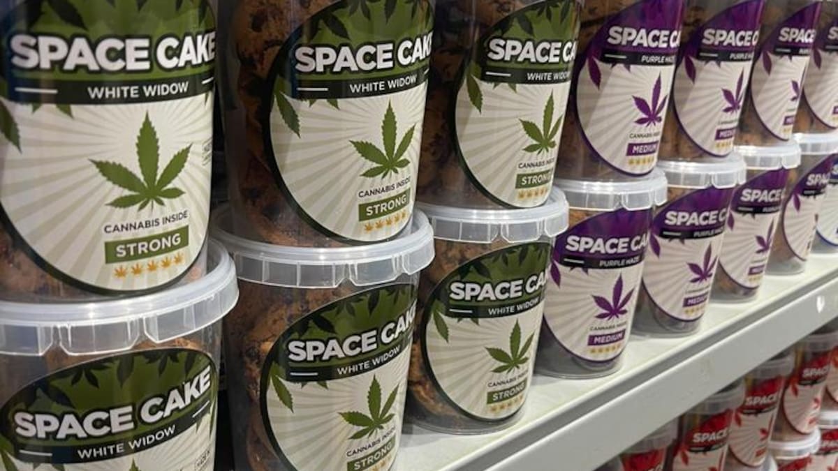 La Asociación de profesionales del cáñamo en Navarra critica la nueva asociación impulsada por el Gobierno foral