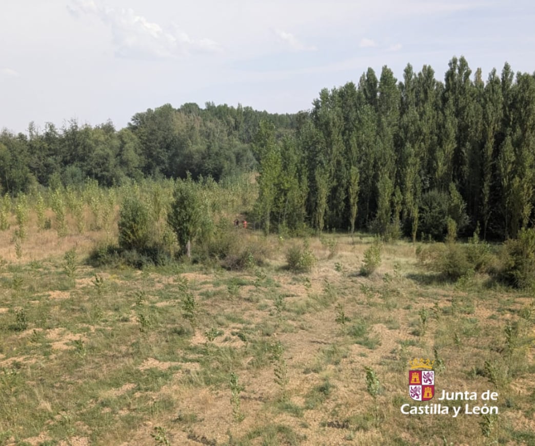 Paraje en el que se produjo el rescate