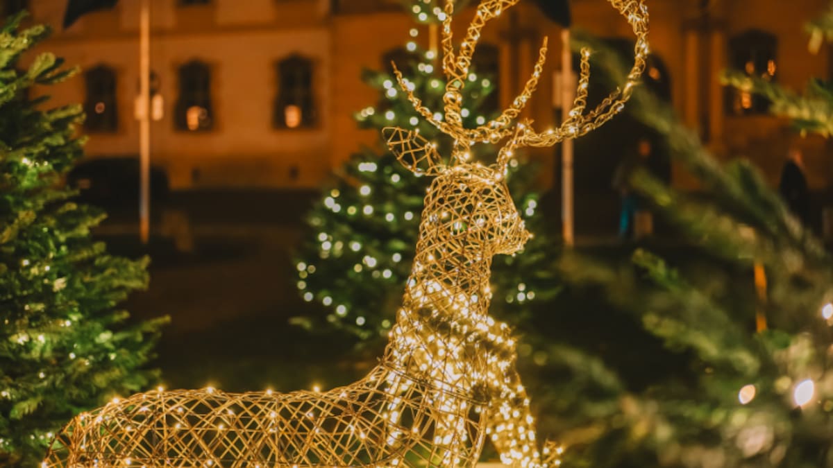 La Vall d’Albaida enciende la Navidad: todos los planes del puente en los municipios de la comarca
