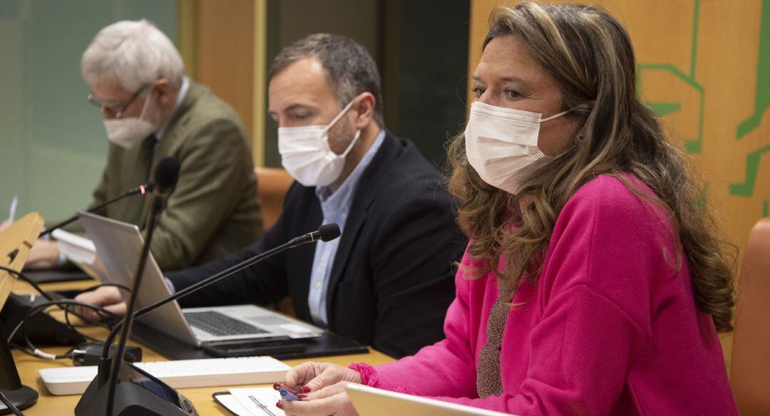 La consejera de Salud, Gotzone Sagardui, en una comparencia en el Parlamento Vasco.