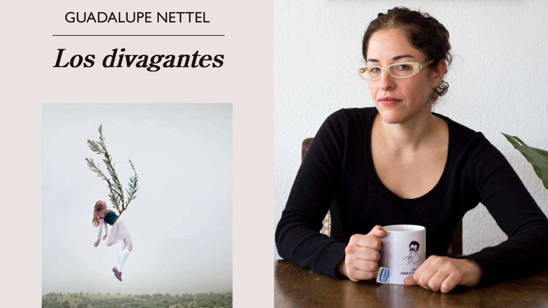 &#039;Los divagantes&#039;, de Guadalupe Nettel