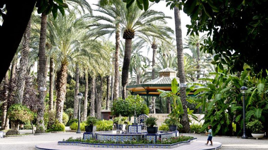 Palmeral Elche