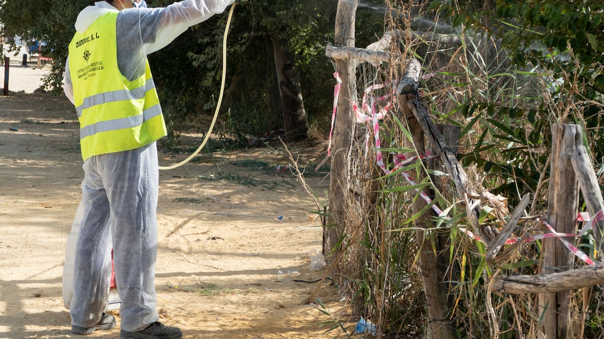 Los ayuntamientos afectados por el Virus del Nilo exigen a la Junta dinero para atajarlo. "Estamos ahogados financieramente"