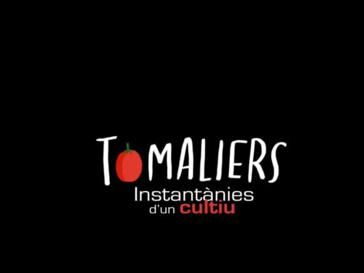 Tomaliers, els someliers dels tomàquets