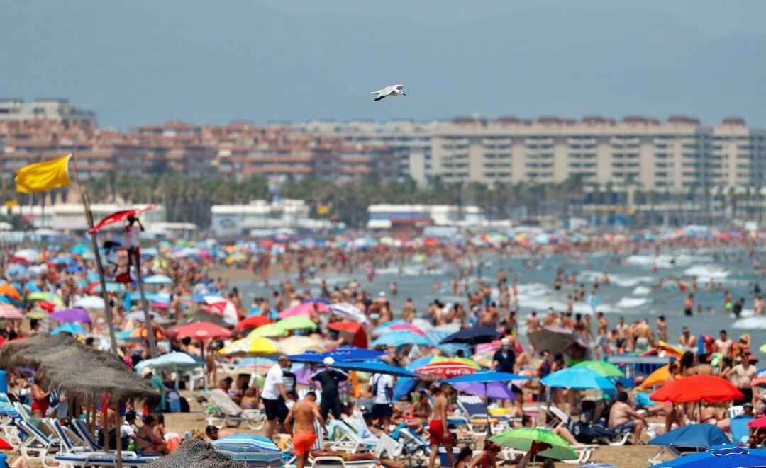 Una gaviota vuela sobre los bañistas que llenan la playa de Las Arenas de Valéncia.