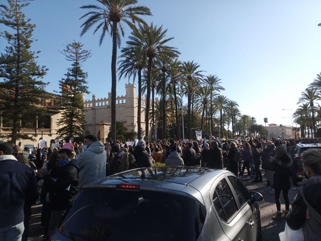 Protestas masiva en Palma