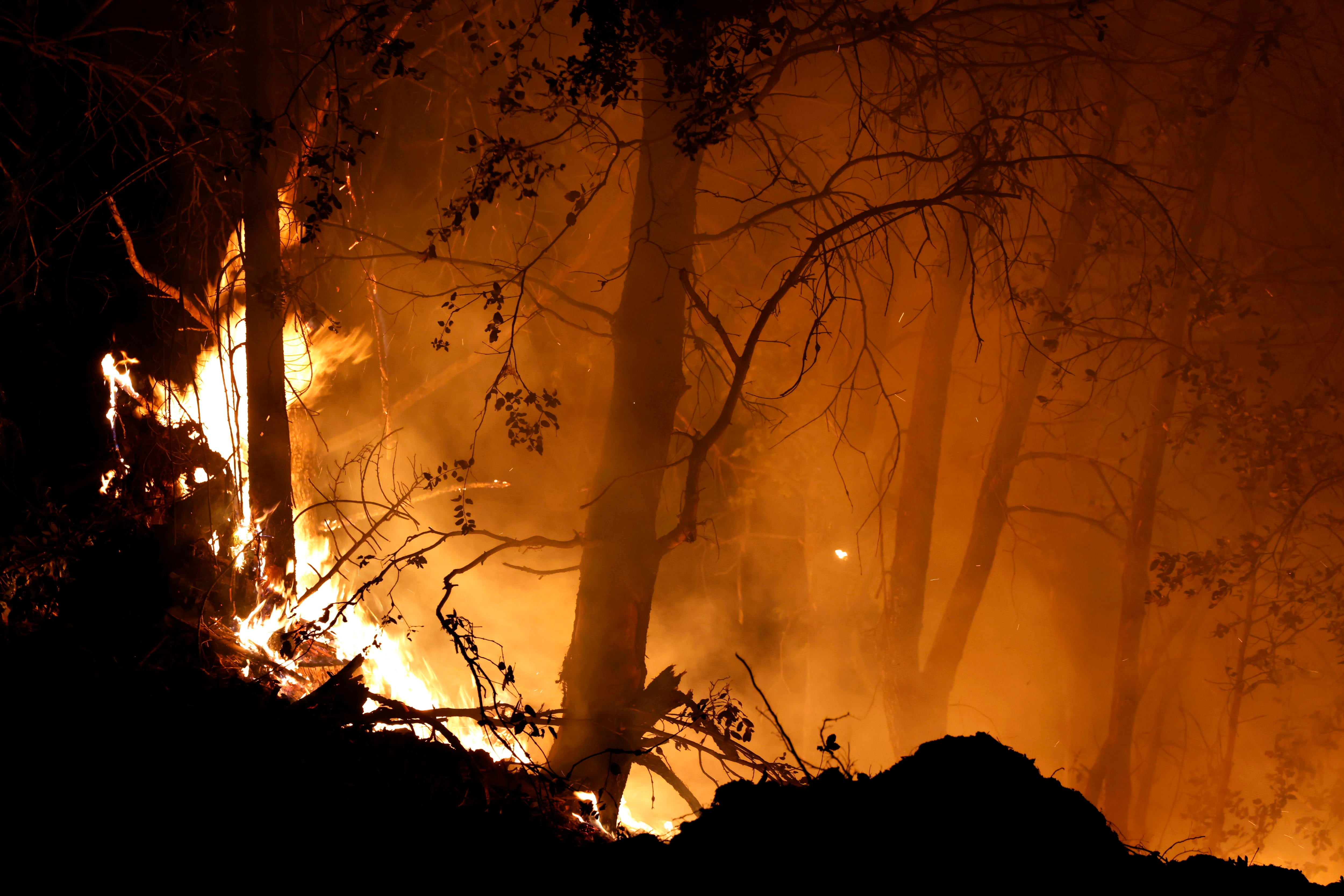 Las llamas se extienden con virulencia en la zona de Butte County (California) en el que ya es el peor incendio del año.