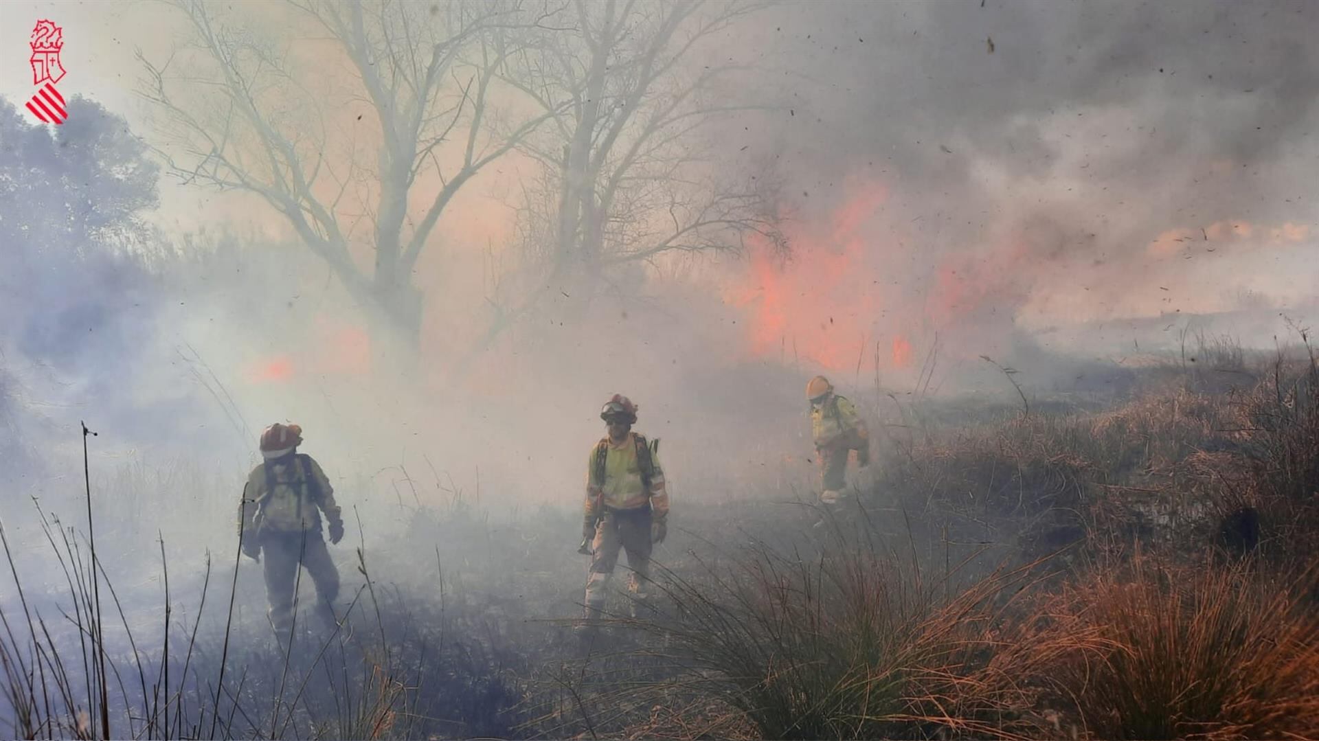 Bomberos trabajan para sofocar un incendio forestal junto al río Magro, en una fotografía de archivo