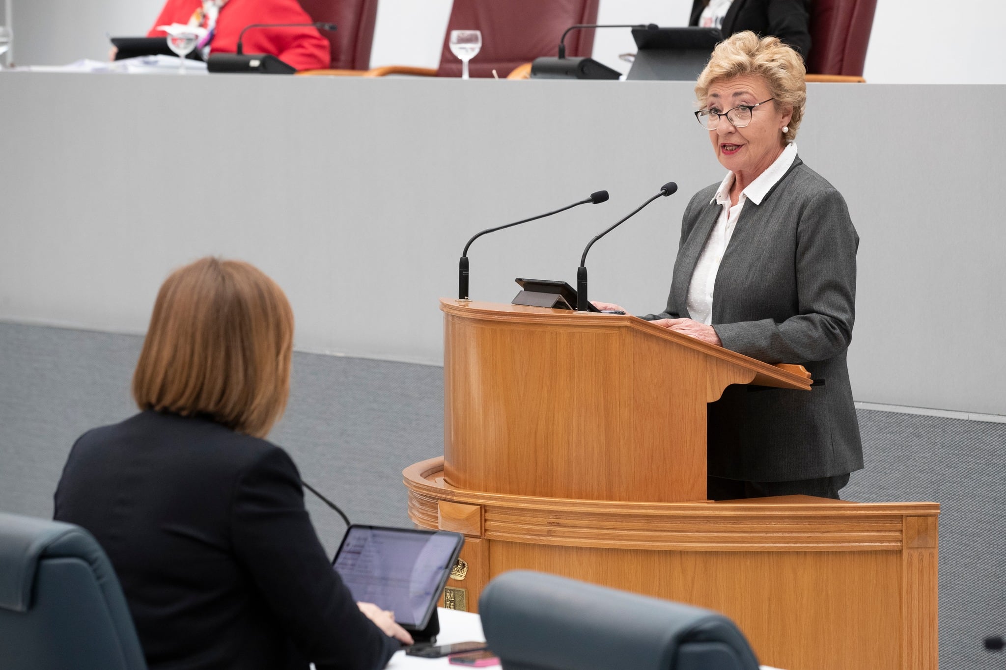 Intervención de Maruja Pelegrín en el Pleno de la Asamblea