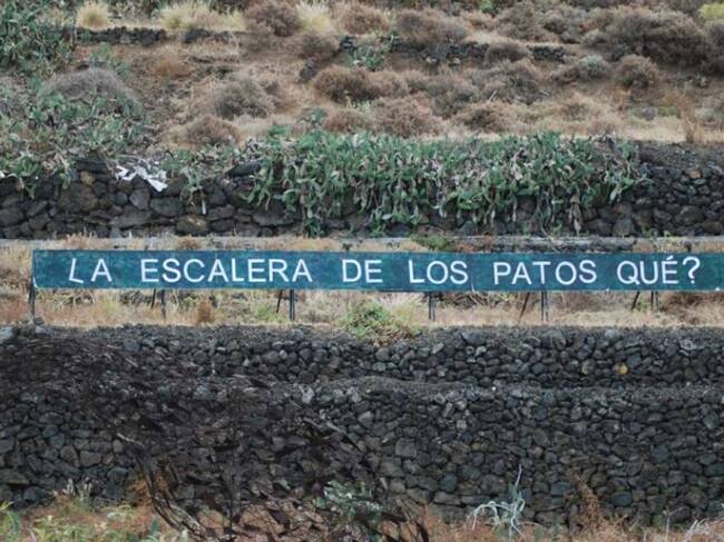 Anoniman se suma a la petición de habilitación del acceso a la Playa de Los Patos en La Orotava