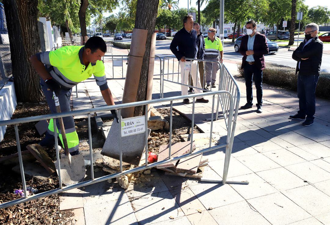 Obras en La Granja