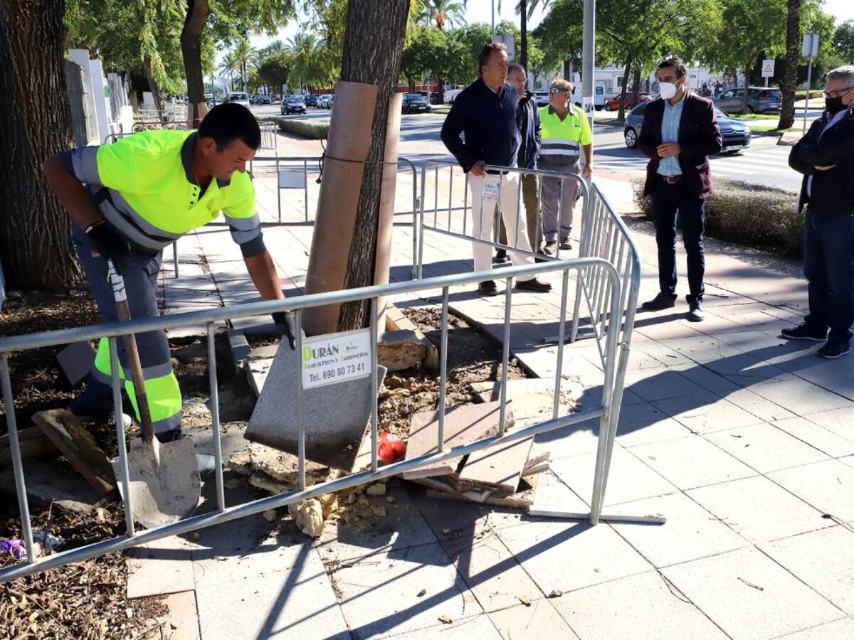 Arranca la reforma de acerados de la avenida de La Granja entre Caballero Bonald y Rotonda Michelín