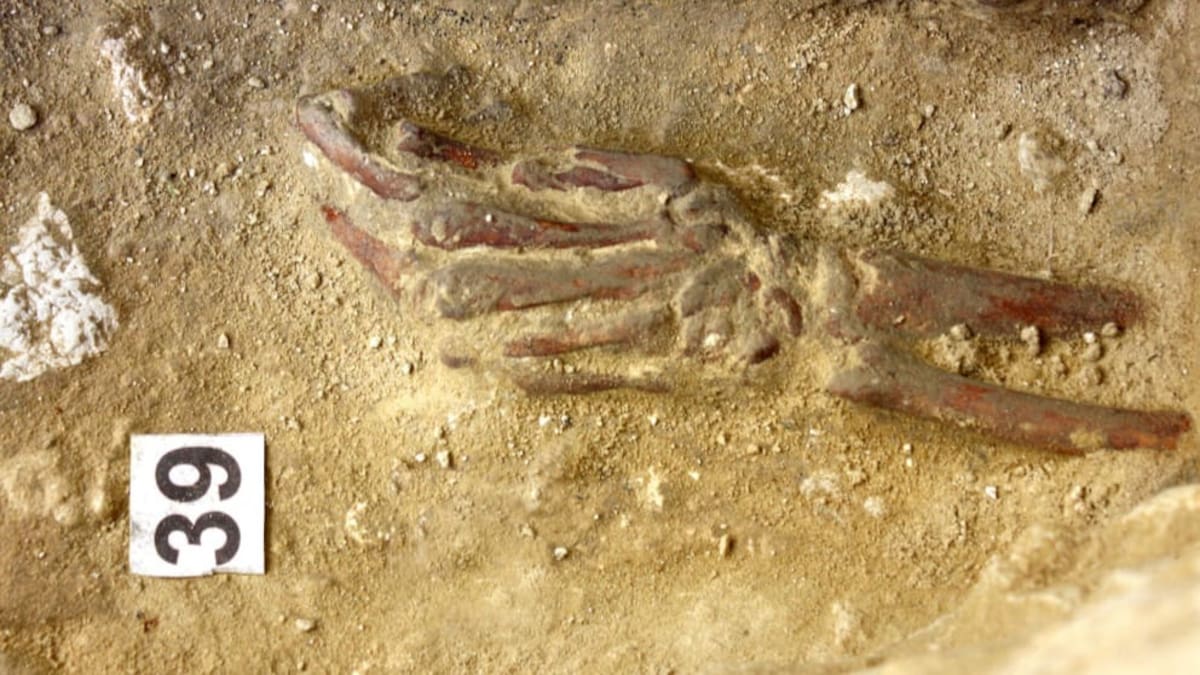 Jorge Cepillo: "Queremos un Espacio para la Memoria en San Fernando"