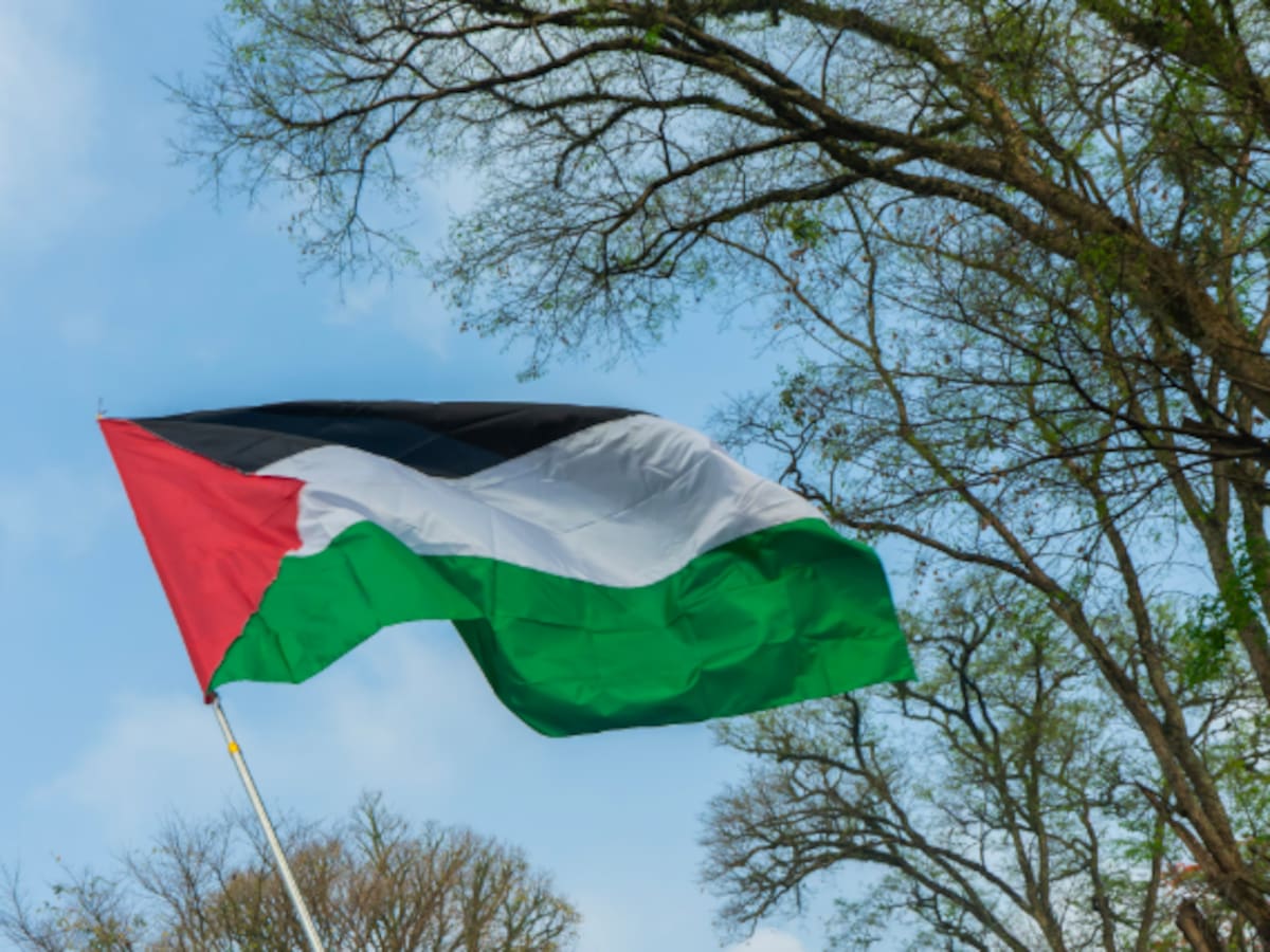 Manzanares El Real busca terapeutas solidarios para su sexta jornada de salud por Gaza