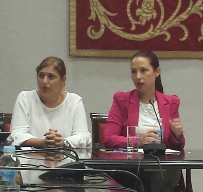 Patricia Hernández e Isabel Mena en la comisión parlamentaria de Servicios Sociales.