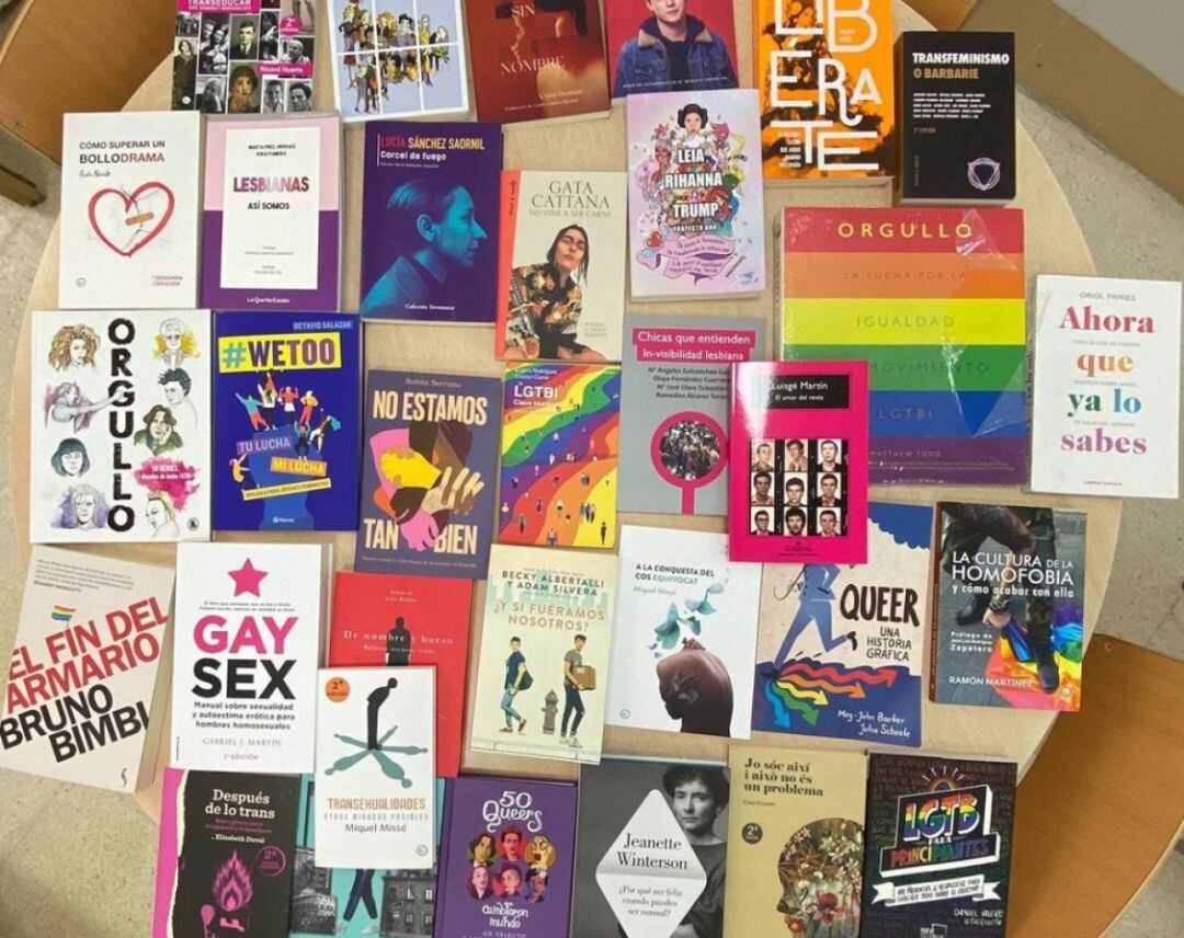 Libros de temática LGTBI repartidos por el Ayuntamiento de Castelló