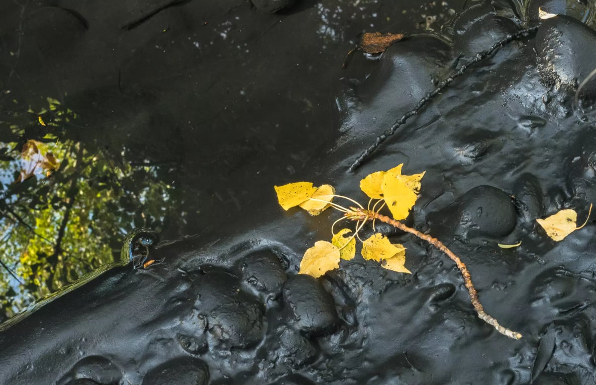 Foto del fango en el río Cinca. Monzón.