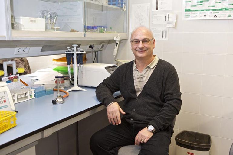 Francisco Mojica, profesor de Microbiología de la Universidad de Alicante