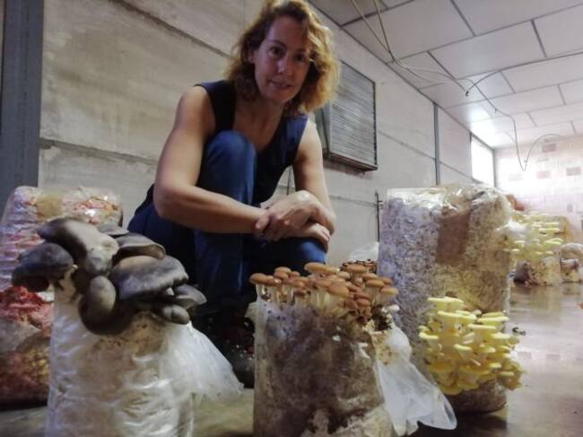 María Rosas, la gerente de Setacor, premiada este año por el ministerio de Agricultura, Pesca y Alimentación