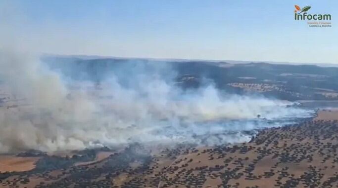 Incendio forestal en Los Pozuelos de Calatrava