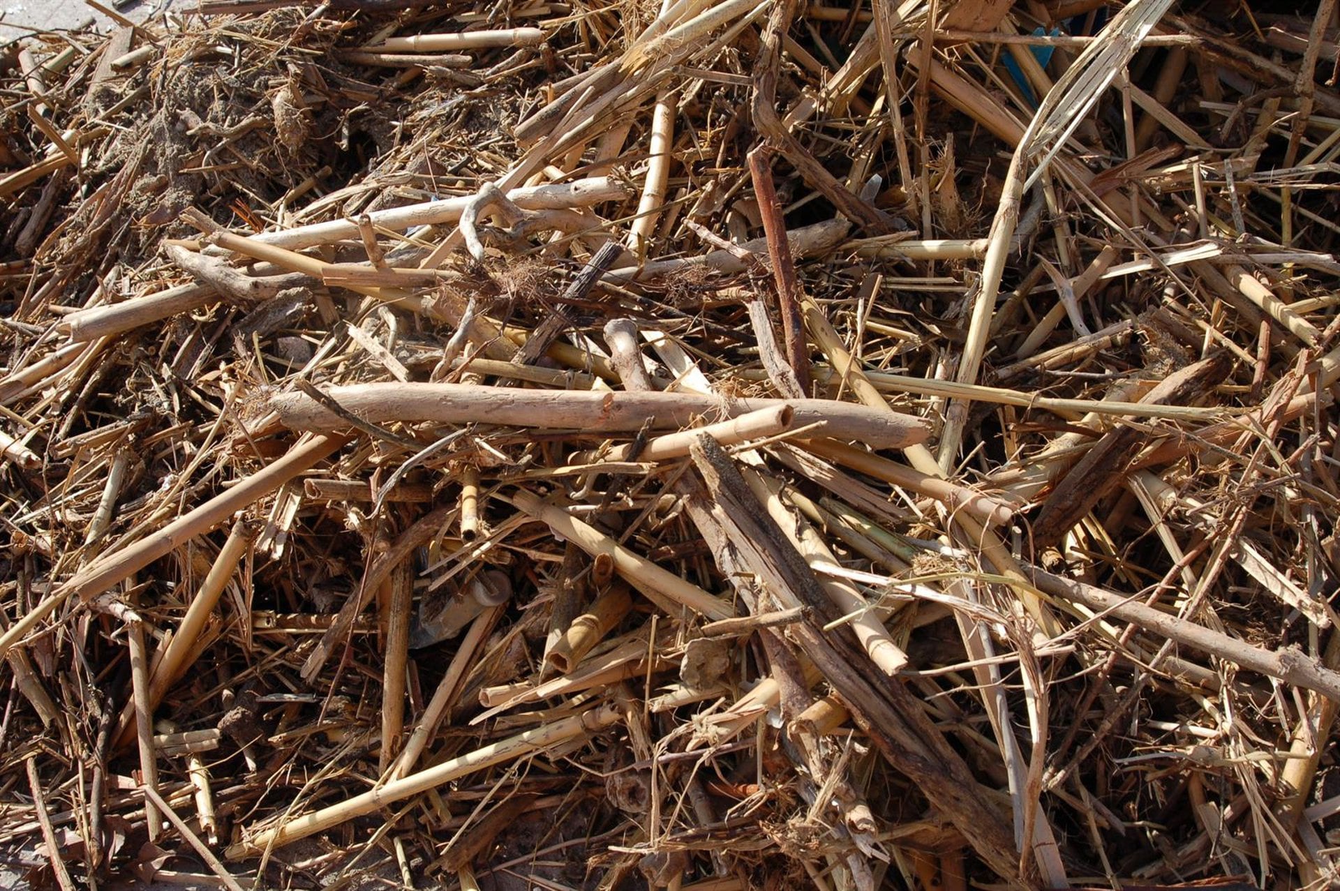 La Mancomunidad de Municipios de la Costa del Sol Occidental ofrece a los ayuntamientos tratamiento para estos residuos (cañas) en el Complejo Ambiental Costa del Sol