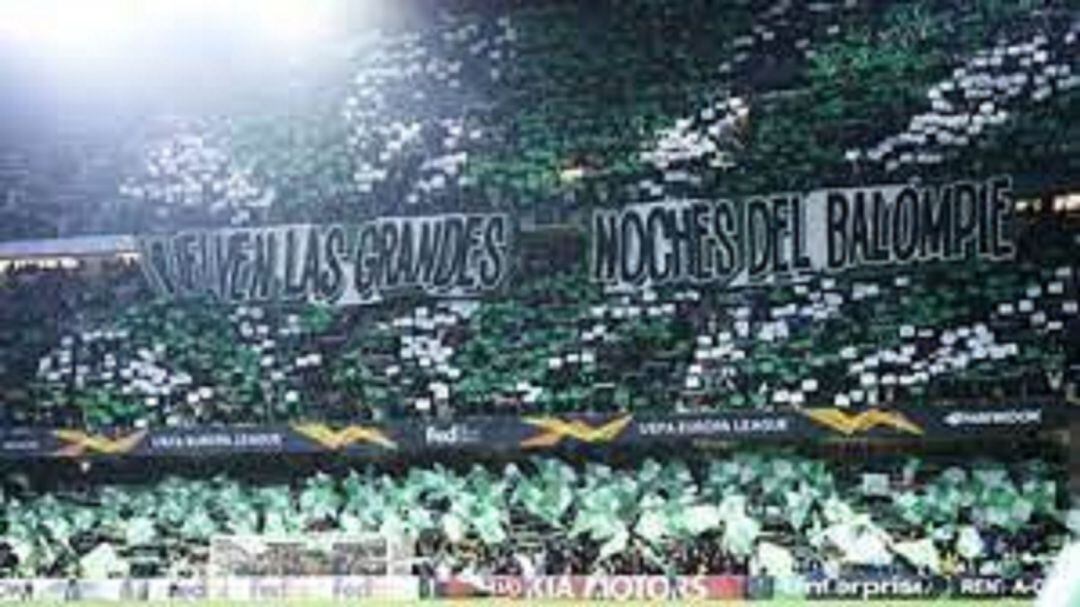 Los aficionados del Betis podrán volver a animar a su equipo en las gradas del Villamarín.