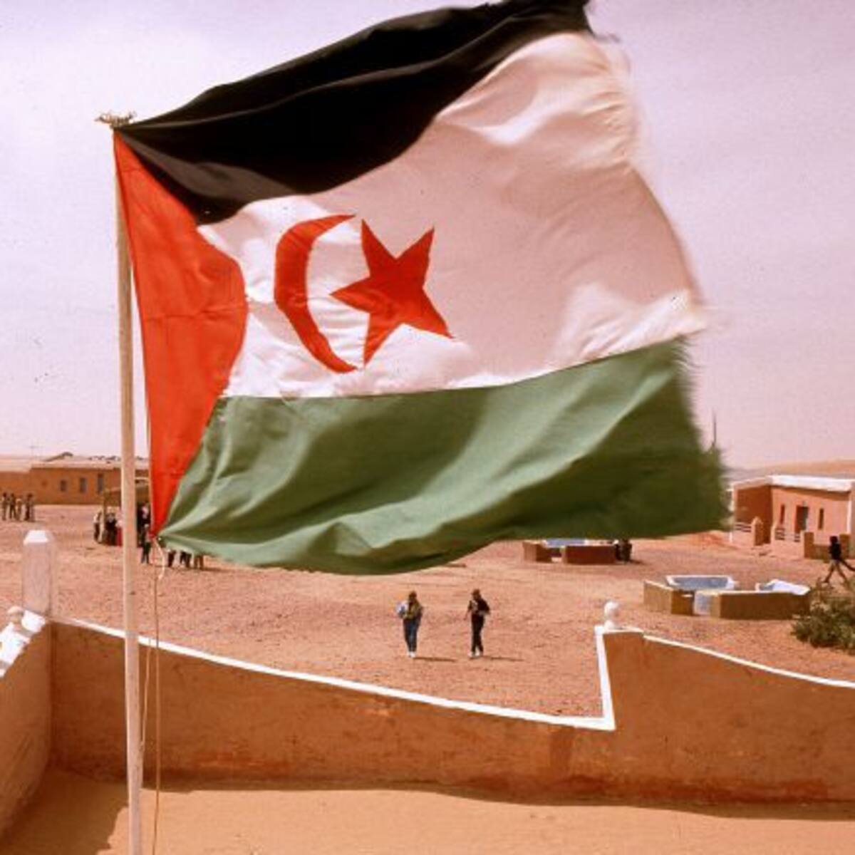 Más Madrid Sanse pide apoyo del Ayuntamiento al programa ‘Vacaciones en Paz’ para niños saharauis