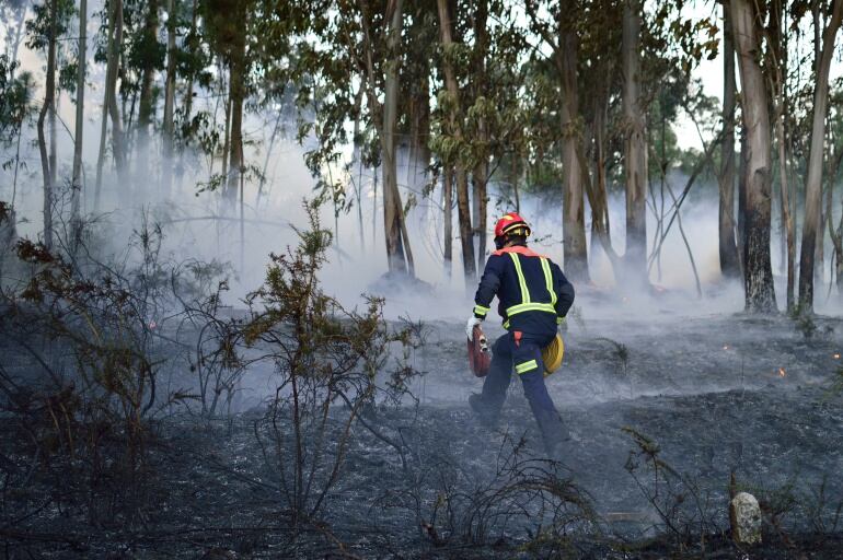 Un bombero en plena tarea de extinción