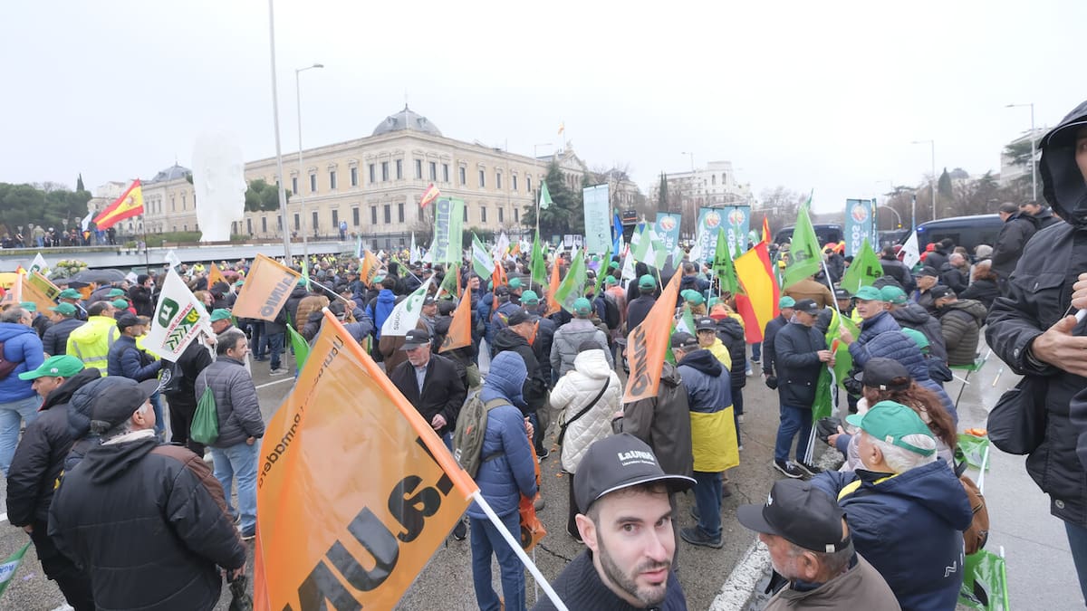 La Unió rechaza la activación provisional del Acuerdo UE–Mercosur