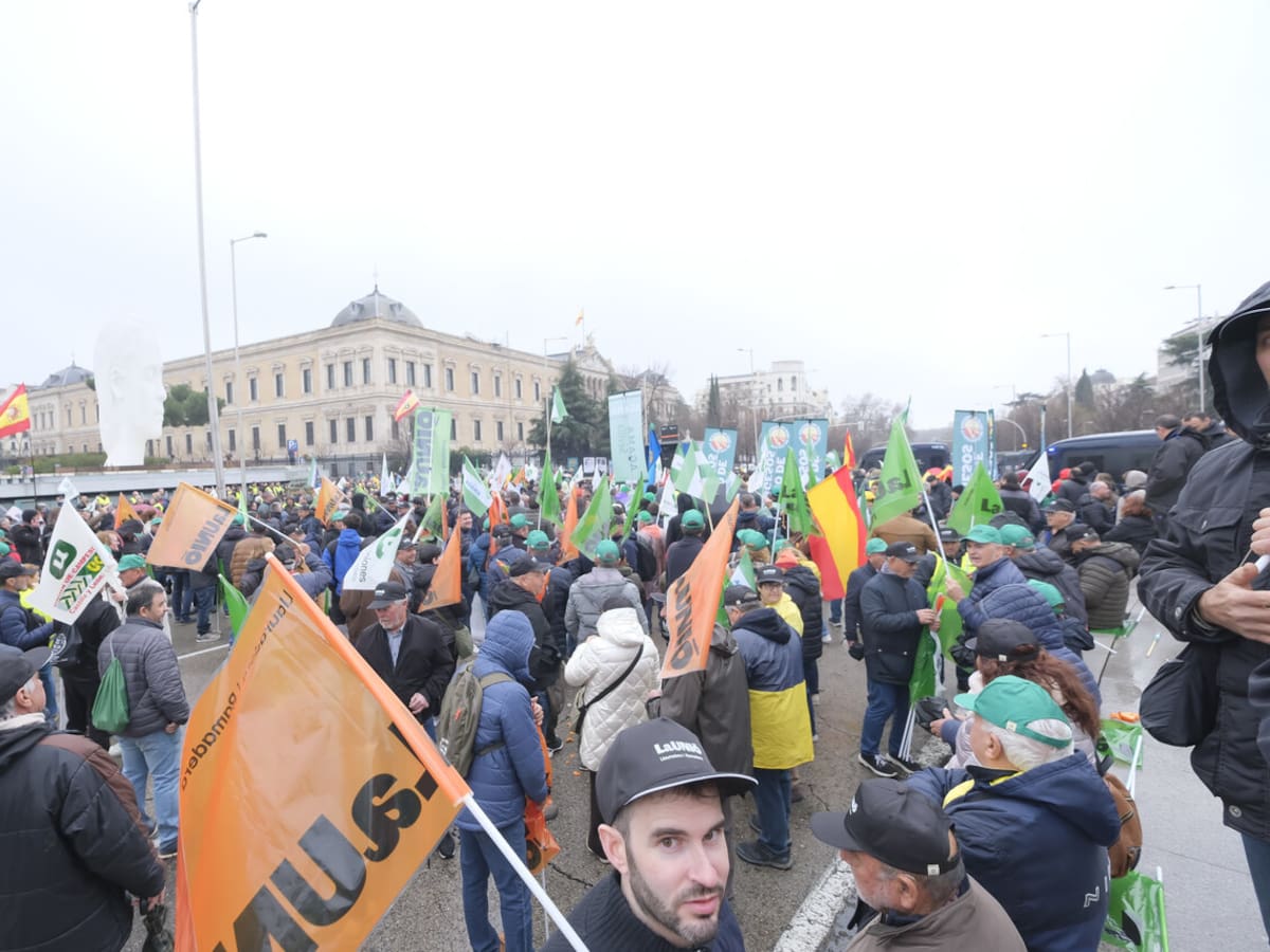 La Unió rechaza la activación provisional del Acuerdo UE–Mercosur